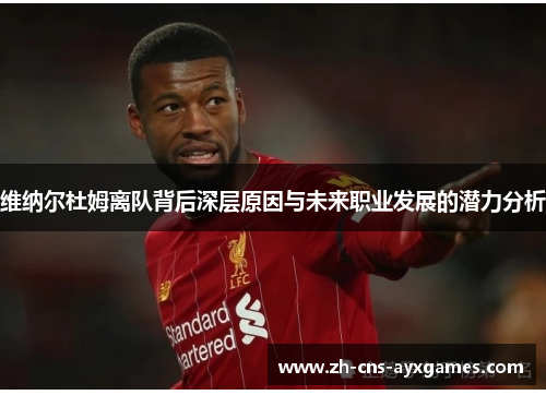 维纳尔杜姆离队背后深层原因与未来职业发展的潜力分析