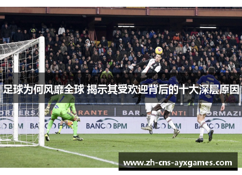 足球为何风靡全球 揭示其受欢迎背后的十大深层原因