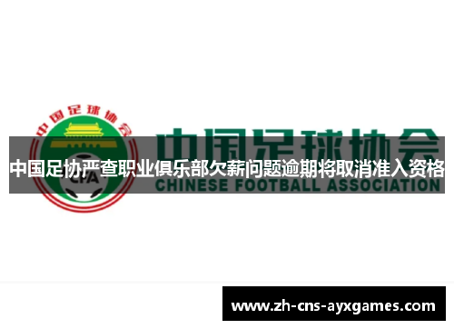 中国足协严查职业俱乐部欠薪问题逾期将取消准入资格 中国足协严查职业俱乐部欠薪问题逾期将取消准入资格