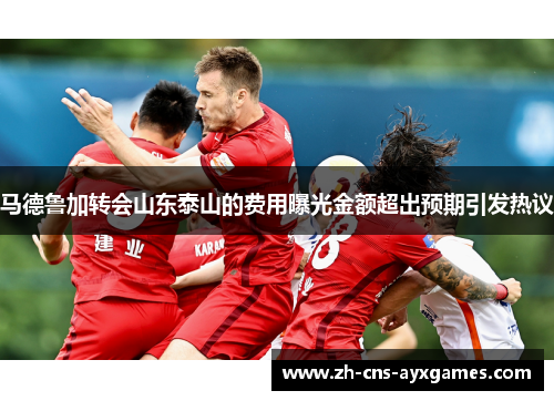 马德鲁加转会山东泰山的费用曝光金额超出预期引发热议